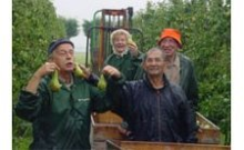 Boomgaard P. van der Heijden